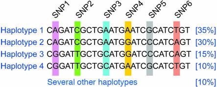 Haplotypes and