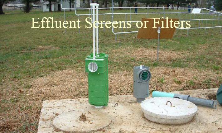 Cleaning an Effluent Filter Clean Annually If the filter has a screen, then the filter can be easily removed and hosed down with water from a garden hose.