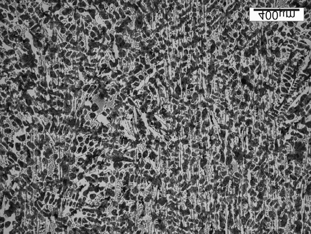 microstructure in as-delivered condition is shown in Figure 1. Test material was sampled from the cast roll delivered by the manufacturer.