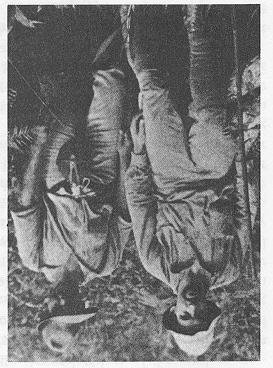 Ernst Mayr, on the right, on an ornithological expedition in New Guinea in 1928, with his Malay assistant 17 Fundamental Perspectives of the Modern Synthesis The units of Evolution: Populations are
