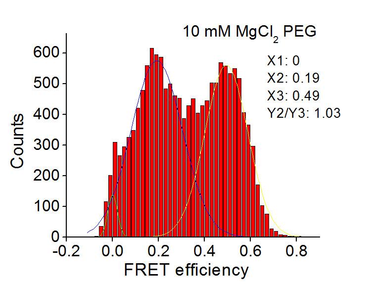 Supplementary Figure 11 FRET histograms of single HJs at different Mg 2+ concentrations.