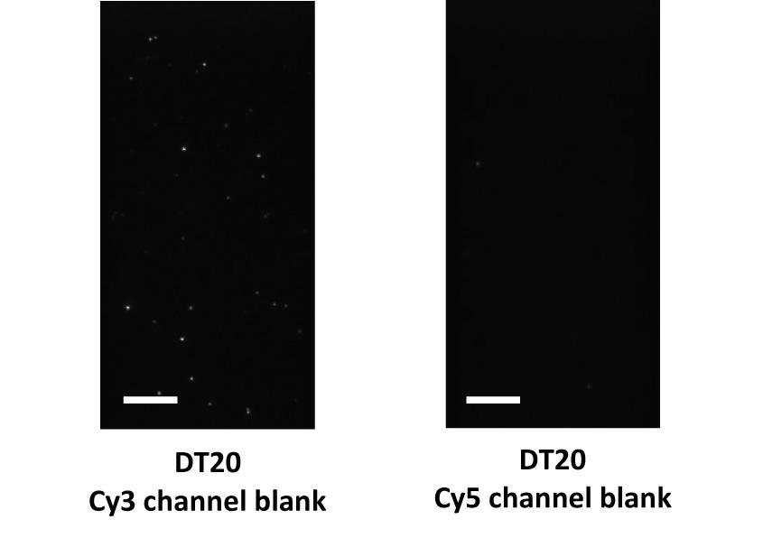 Supplementary Figure 2 The background fluorescence spot counts in both Cy3 and Cy5 channels on the PEG and DT20 surfaces.