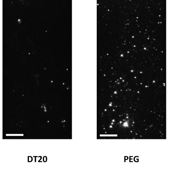 Supplementary Figure 8 Fluorescence images of nonspecifically bound