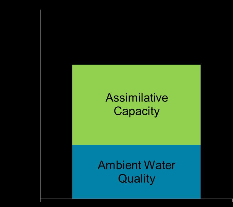 Ability of a water body to receive and accommodate