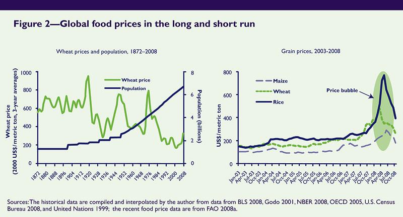 The Food Price Crisis in Perspective 6 Source: J. von Braun.