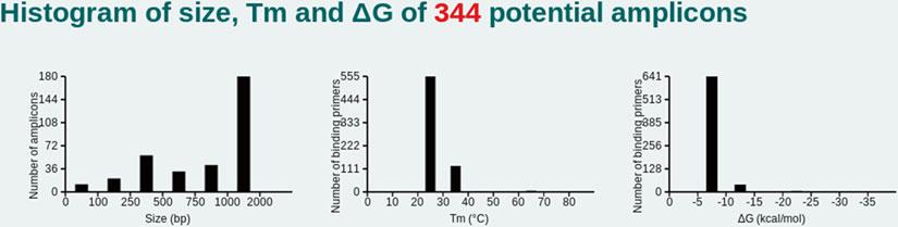 MFEprimer 207 1. Query : Fig. 4 shows the list of the input primer sequences with general information such as size, GC content, and T m value annotation. 2. Histogram of size, T m, and G of x potential amplicons : This section provides histograms of the size, G, and T m when the number of predicted amplicons >10.