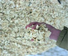 Biomass Resources and Issues Wood Residues Sawdust Wood
