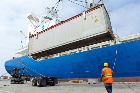 Import Trade (metric tons) General cargo