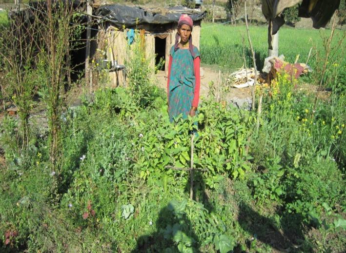 Ms. Janaki Devi Rawat- 35, Sirsha-6, Rajauda, Dadeldhura belongs to the Raute (indigenous) community. There are five members in her family with three Ropani of farm land.