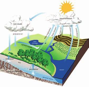 The Hydrologic Cycle The total area of the earth is composed of 2/3 water, making it one of the most plentiful and most important materials available. Without potable water, mankind cannot survive.