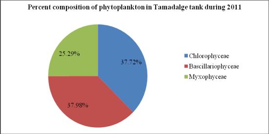 Figure 4: Percent composition of phytoplankton in Tamadalge tank during 2011