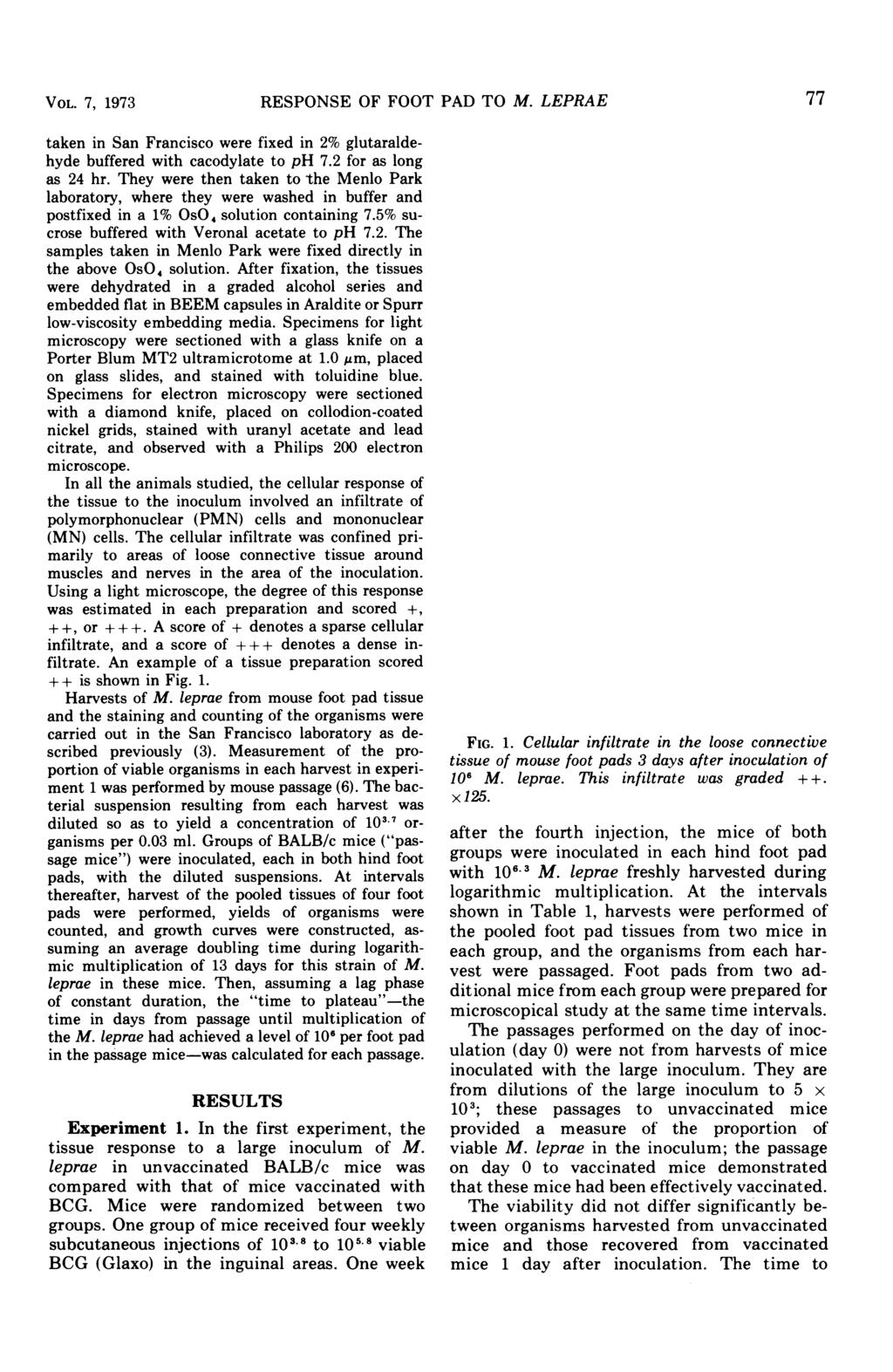 VOL. 7, 1973 RESPONSE OF FOOT PAD TO M. LEPRAE 77 taken in San Francisco were fixed in 2% glutaraldehyde buffered with cacodylate to ph 7.2 for as long as 24 hr.