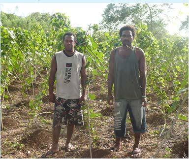 Climate change, food crop security and biosecurity Climate change will impact on crop production in the Pacific region Degradation of food production areas (sea level rise, salinity, drought)