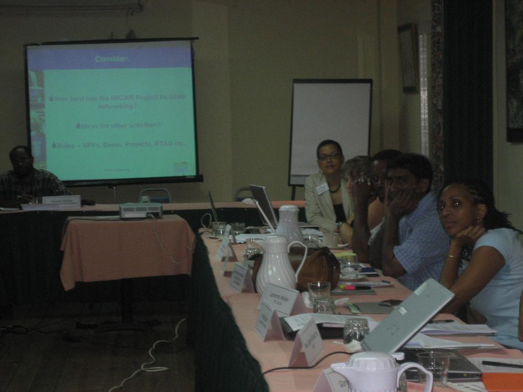 Regional Technical Advisory Group Meeting Roseau, Dominica 4 July 2007 Prepared by Project Coordination Unit of the Global Environment
