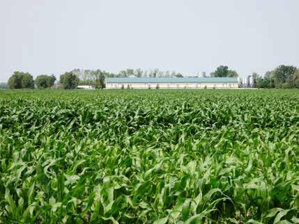 Factors that Influence the Prioritization and Rotation of Fields for Manure Application Manure Storage Capacity The capacity of the manure storage structure determines how frequently the storage must
