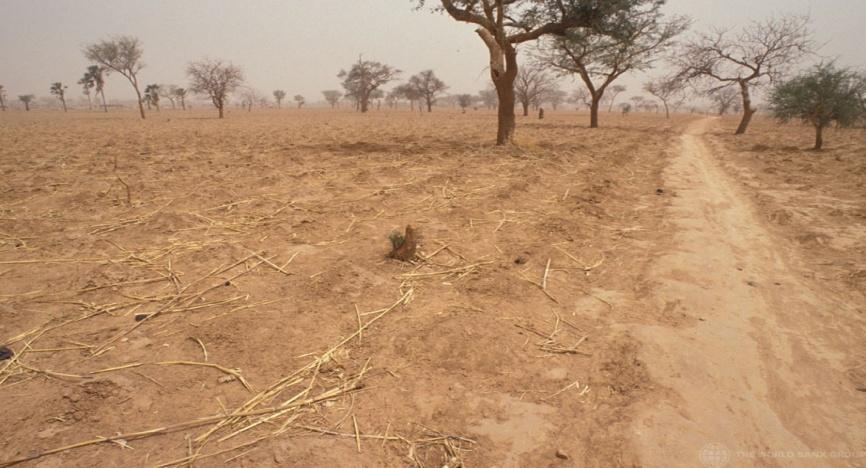 expertise of several UN agencies to advance capacity in targeted drought-prone