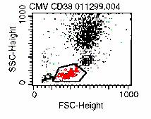 Create a 2 nd region around the CD3/CD8 positive cells (R2) 5.3.2 Display an FL-2 histogram of the CD3/CD8 positive cells (R1 + R2).
