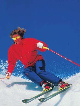 Ski boots and skis are two goods that are complements.