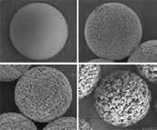 30µm Figure 1. Monodisperse polymer spheres with controllable particle size and pore size Mobile phase A Mobile phase B Gradient 4.6 mm I.D.