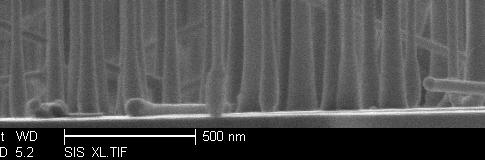 vertical Ge nanowire array (40 nm diameter)