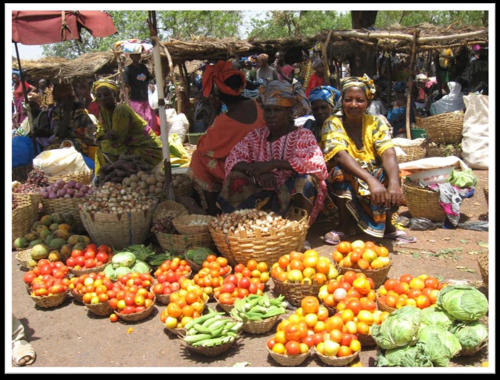 ANNOUNCES AN INTERNATIONAL TRAINING PROGRAM ON LINKING FARMERS TO MARKETS IN AFRICA NAIROBI, KENYA JULY 20-24, 2015 REGISTRATION