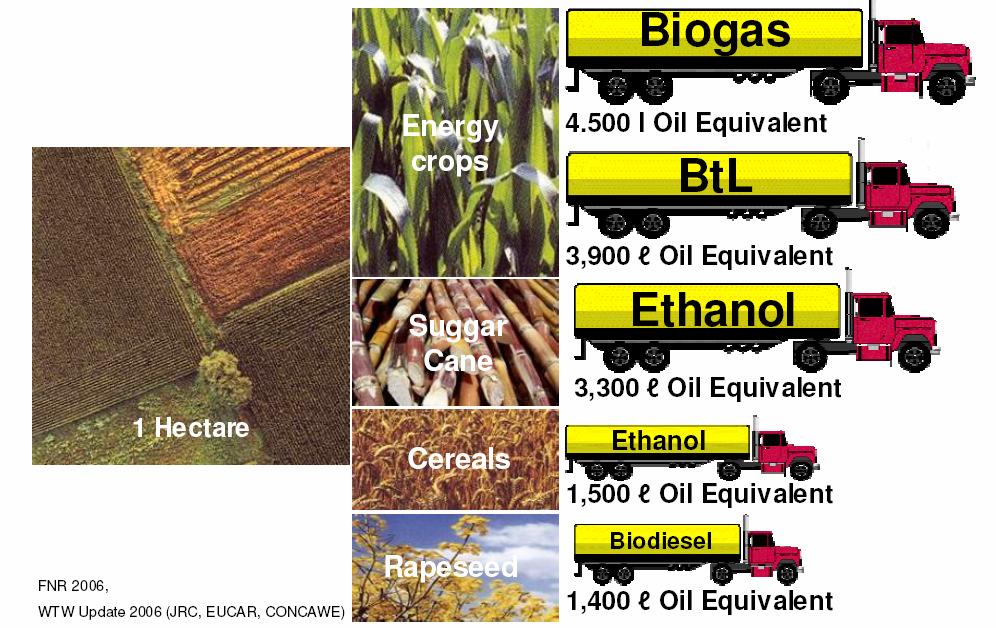 Biogas production potential Among different options of biofuels, biomethane presents the highest efficiency per hectare of land.
