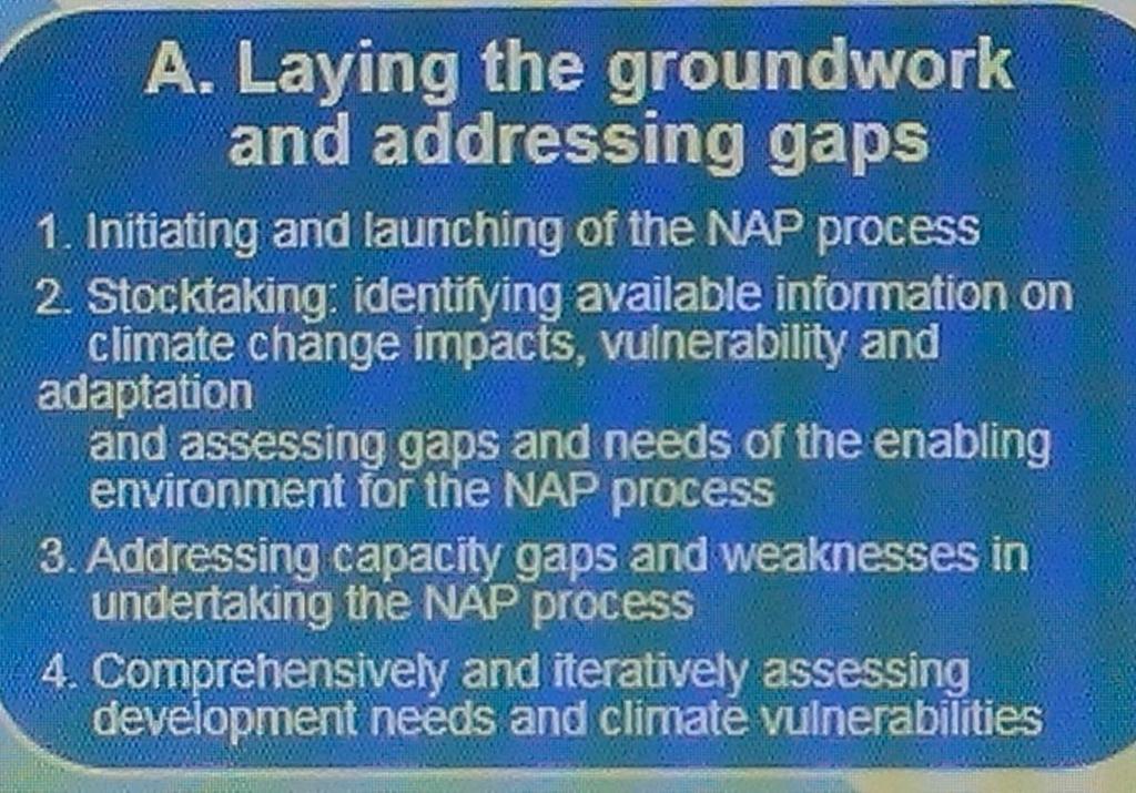 integration of climate change adaptation, in a coherent manner, into relevant
