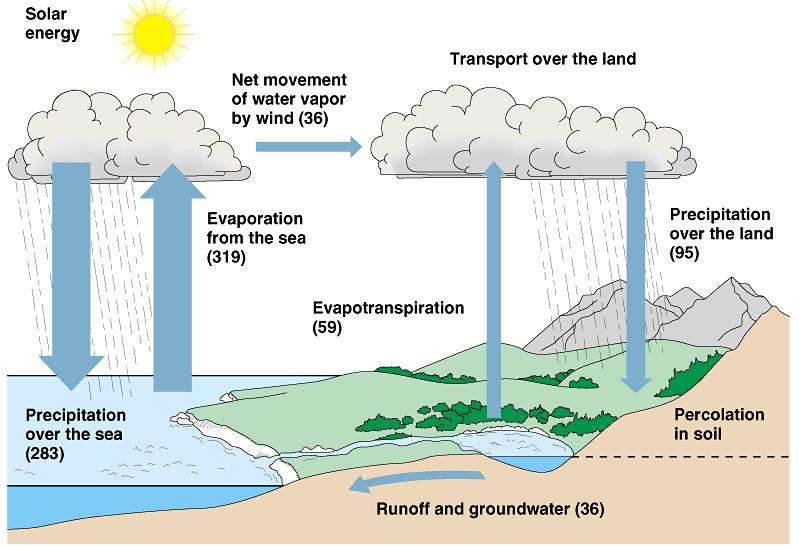 Biogeochemical Cycles The major nutrient cycles are essential for