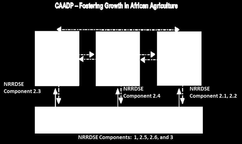 the four pillars of Comprehensive African Agriculture Development Program (CAADP) as shown in the figure below.