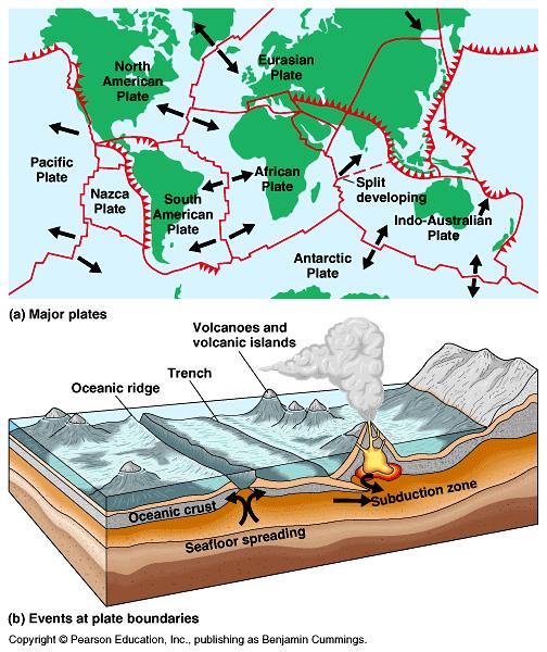 GEOLOGICAL PROCESSES Include volcanic eruptions, the