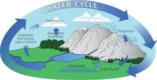 The Water Cycle Moves between the ocean, atmosphere, and