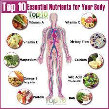needs nutrients to build tissues and carry out essential life functions
