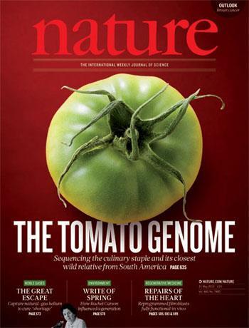 tomato genome sequencing