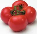 Tomato fruit color