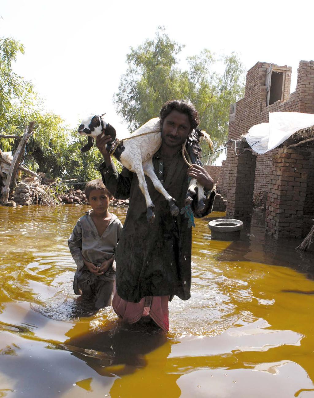 FAO/A. Hafeez The impact of disasters on agriculture is severe, yet under-reported.