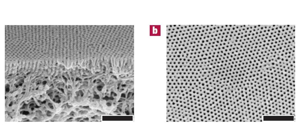 Fabrication of nanoporous structures via amphiphilic block copolymers self organizing block copolymers of styrene/ 4-vinylpyridine via