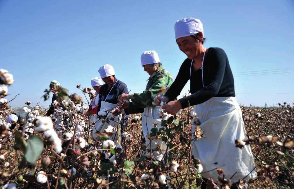WOMEN IN COTTON 04/05 As CottonConnect s mapping in China and India shows, challenges and opportunities for women can vary substantially, even within a fairly limited geographical area.