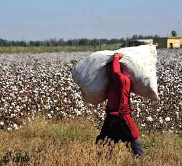 In order to lead in cotton production, women need both hard technical skills and soft skills such as communication, negotiation and problem solving.