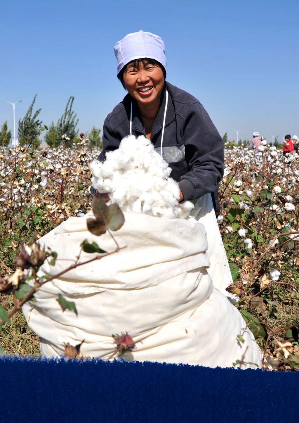 COTTONCONNECT IS AN ENTERPRISE WITH A SOCIAL MISSION PIONEERING A TRANSPARENT AND SUSTAINABLE COTTON SUPPLY CHAIN FROM RETAILERS TO FARMERS TO BUILD A