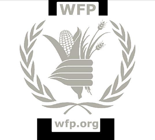 WFP S DRAFT 2014 2017 STRATEGIC RESULTS FRAMEWORK Second Informal Consultation on