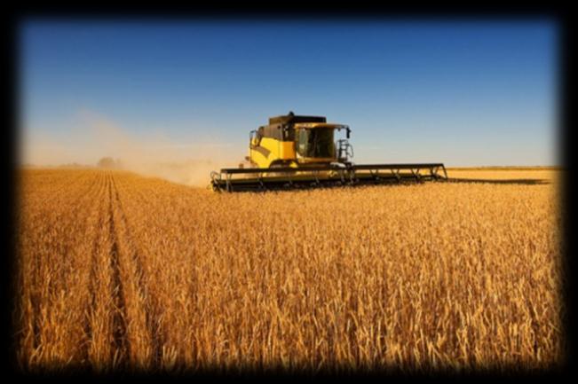 Saudi Arabia Project Brief Development of an effective strategy for satisfying wheat needs of the