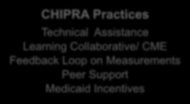 Quality Improvement Levels of Effort CHIPRA Practices Technical Assistance Learning Collaborative/ CME Feedback Loop on Measurements Peer Support Medicaid Incentives