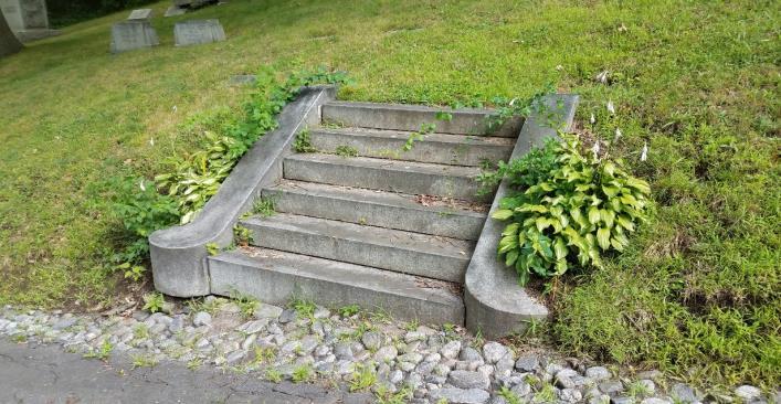 Some overgrowth 1. Most steps do not have code compliant railings 2.