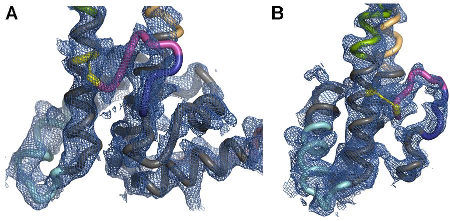 Right panel has the same representation, but 60 rotated to show the density for α-helix 2 and the propeptide. (B) Crystalline lattice of HBeAg-Fab e6 complex.