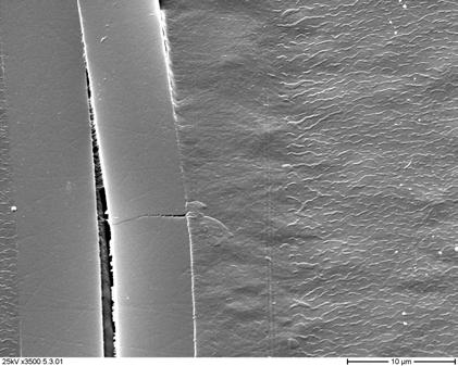 SEM-micrograph of a parallel oriented composite surface scratched