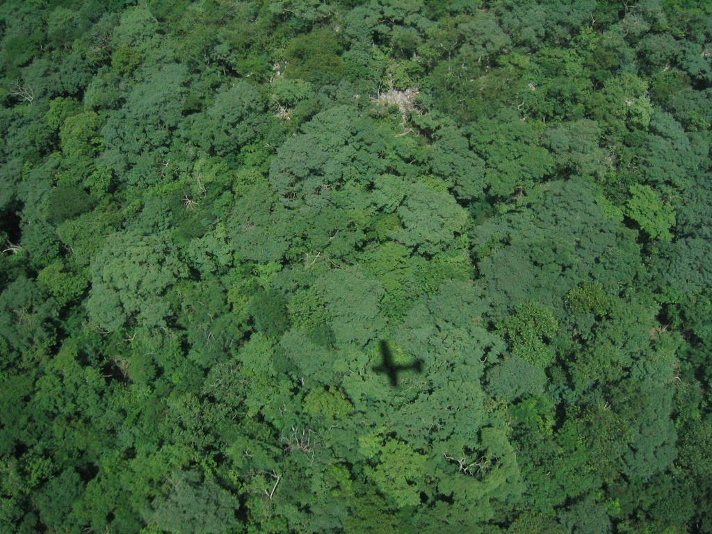 Intact forests send about about 3/4 of incoming solar radiation and precipitation back to atmosphere Equivalent