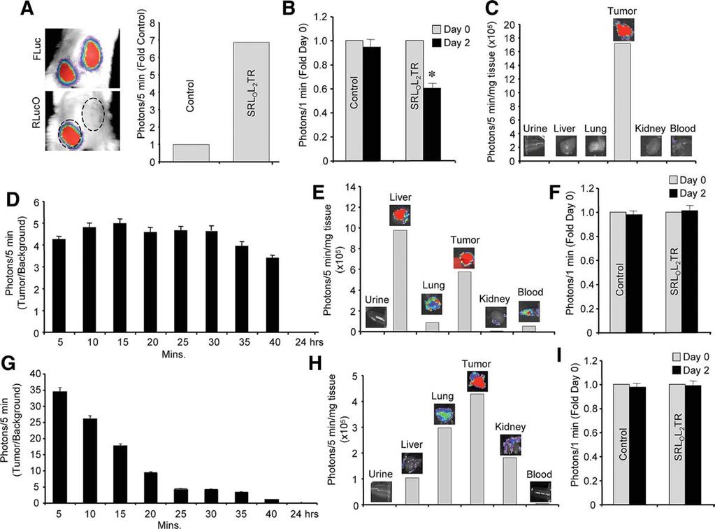 838 Monitoring Engineered SCs for Cancer Therapy in vivo Figure 4. Delivery by engineered stem cells improves SRL O L 2 TR pharmacokinetics in vivo.