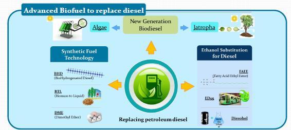 Renewable energy class detail: Second generation biofuels