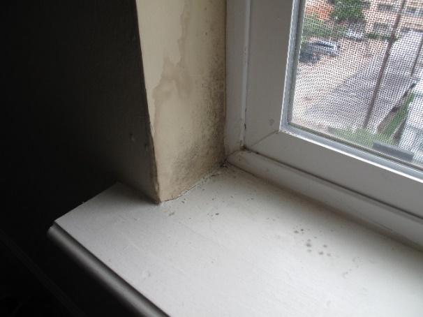 Figure 1: Moisture staining adjacent to window jamb The interior moisture staining at the jambs and heads of windows was consistent with water infiltration around the window openings, potentially