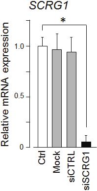 Supplemental Figure S4: sirna against SCRG1 clearly knocked down the mrna expression level. UE7T-13 cells were transfected with sirna for SCRG1 (siscrg1).